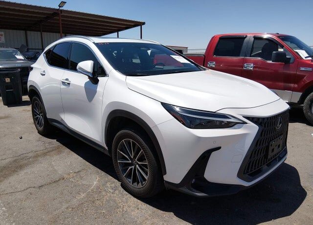 2024 LEXUS NX