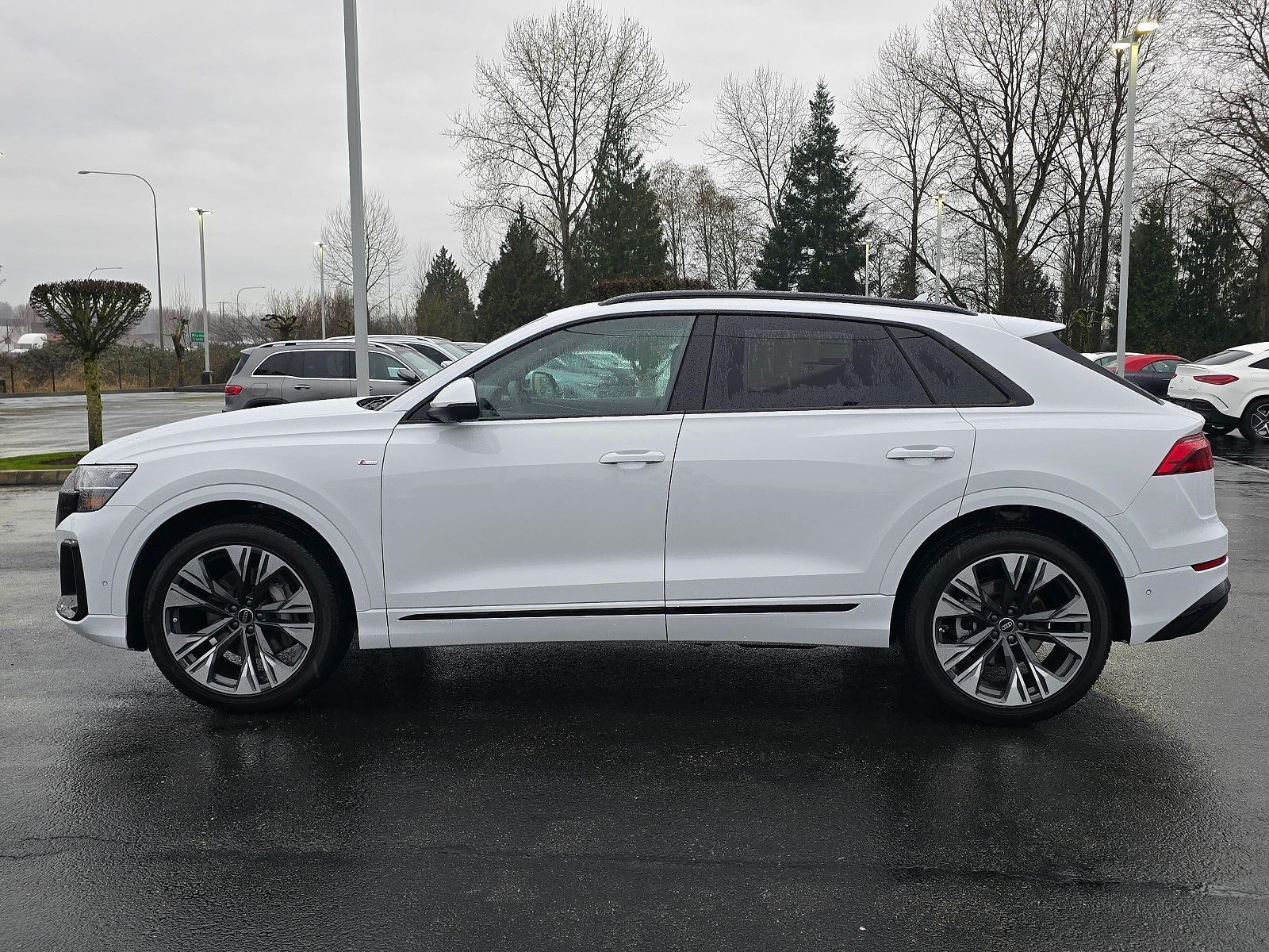 2026 Audi Q8