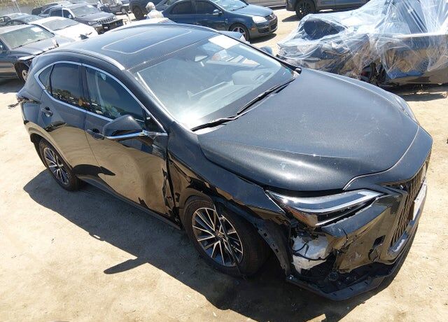 2025 LEXUS NX