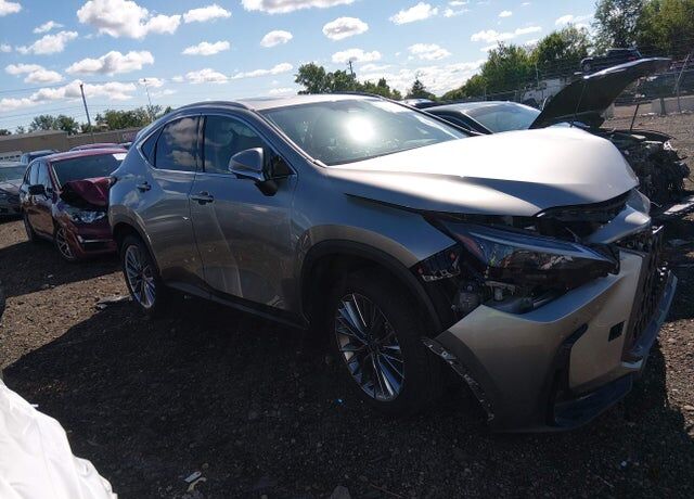 2026 LEXUS NX
