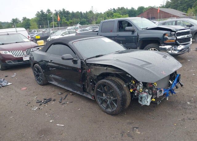 2019 FORD Mustang