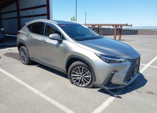 2025 LEXUS NX