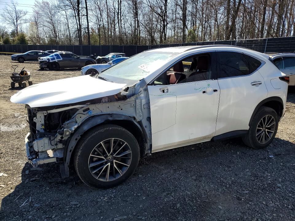 2022 LEXUS NX
