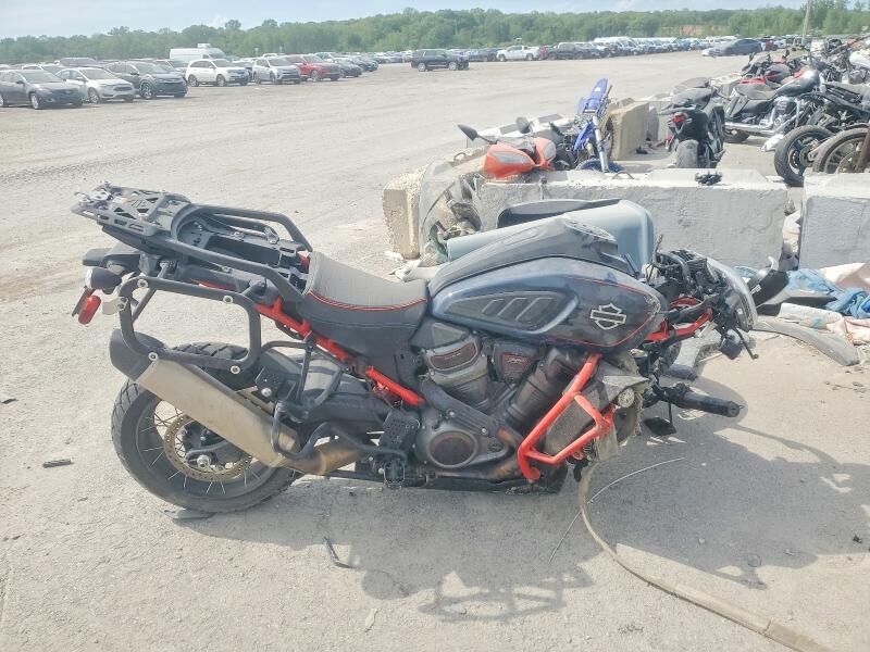 2025 HARLEY-DAVIDSON Pan America