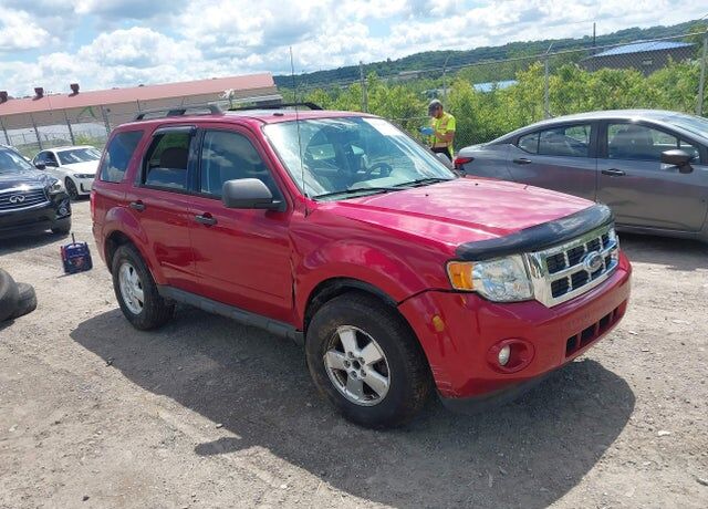 2011 FORD Escape