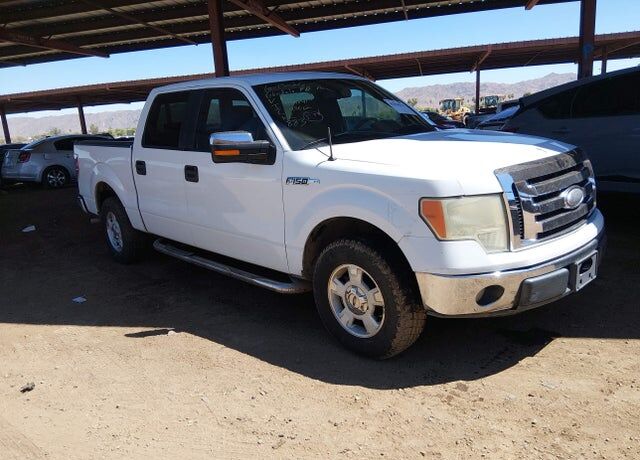 2009 FORD F-150