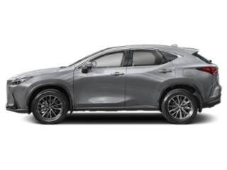 2024 LEXUS NX