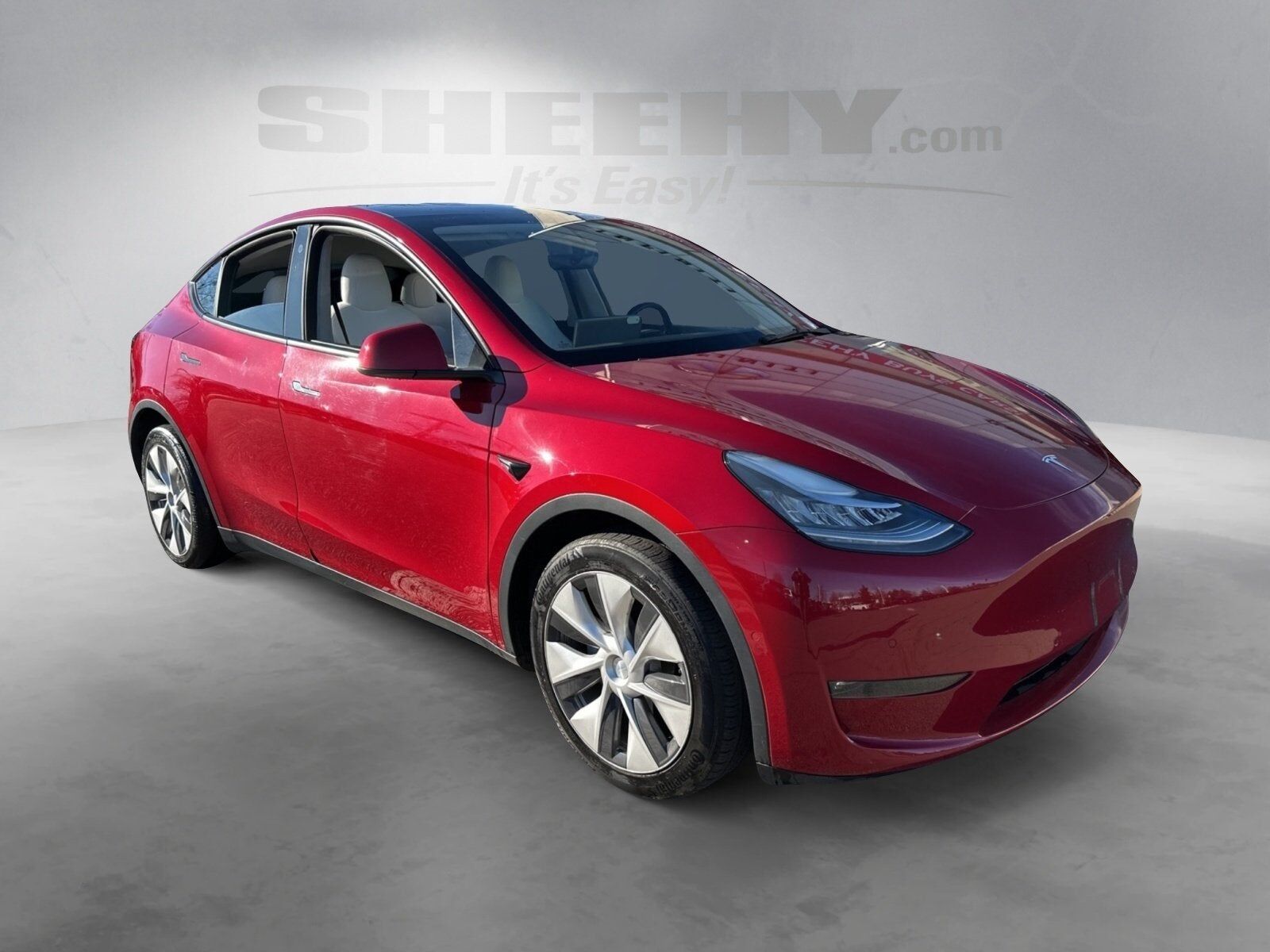 2021 TESLA Model Y