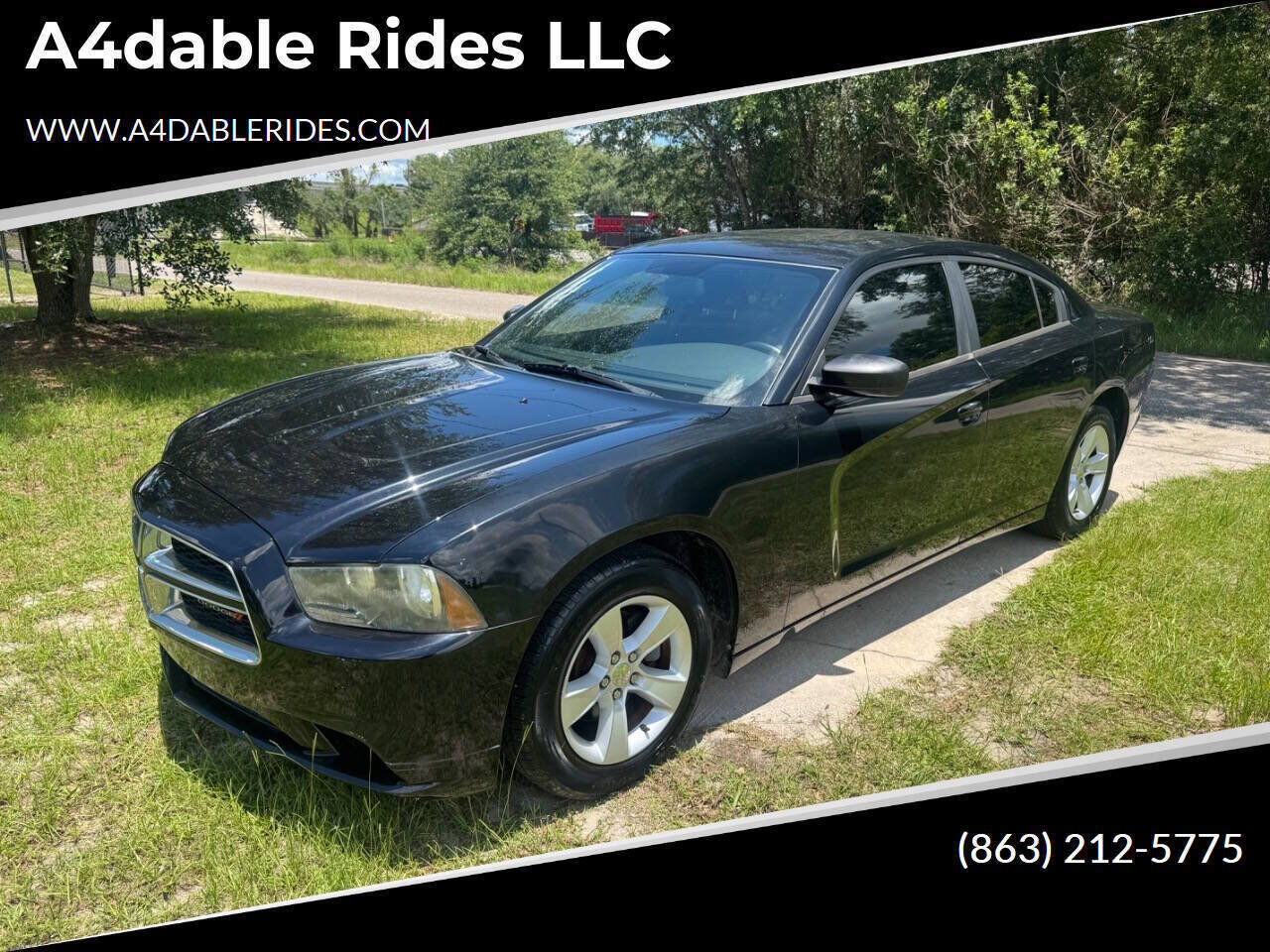 2013 DODGE Charger