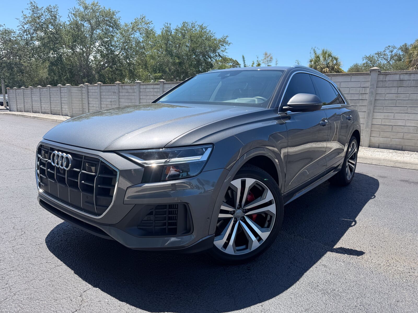 2019 AUDI Q8