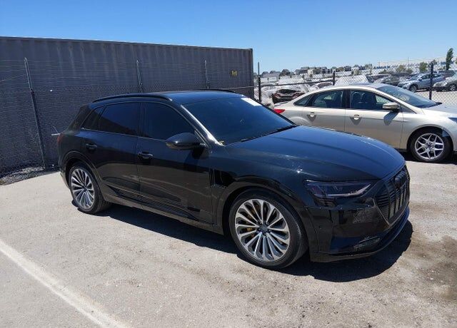 2019 AUDI e-tron