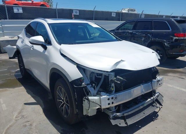 2025 LEXUS NX