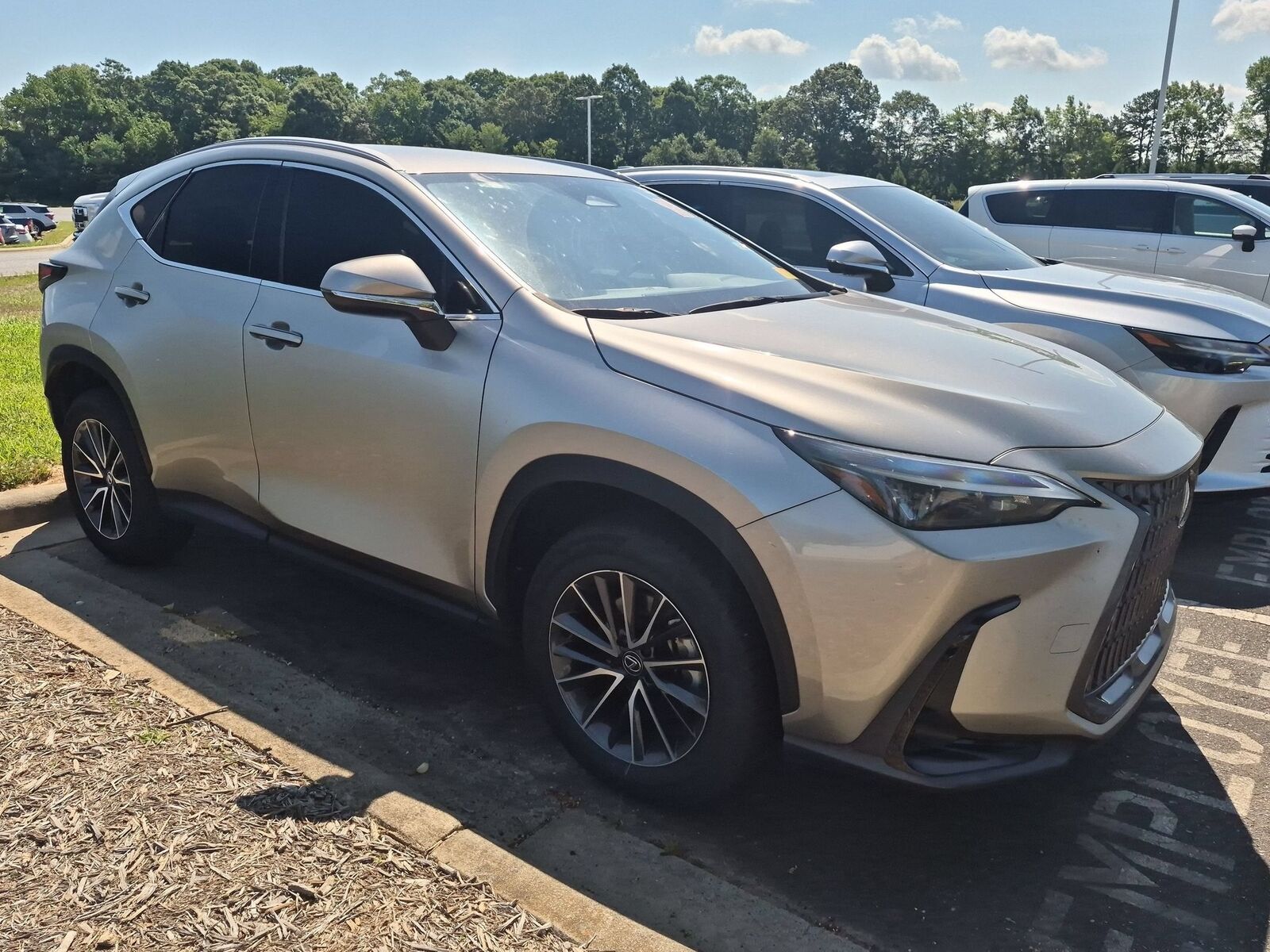 2024 LEXUS NX