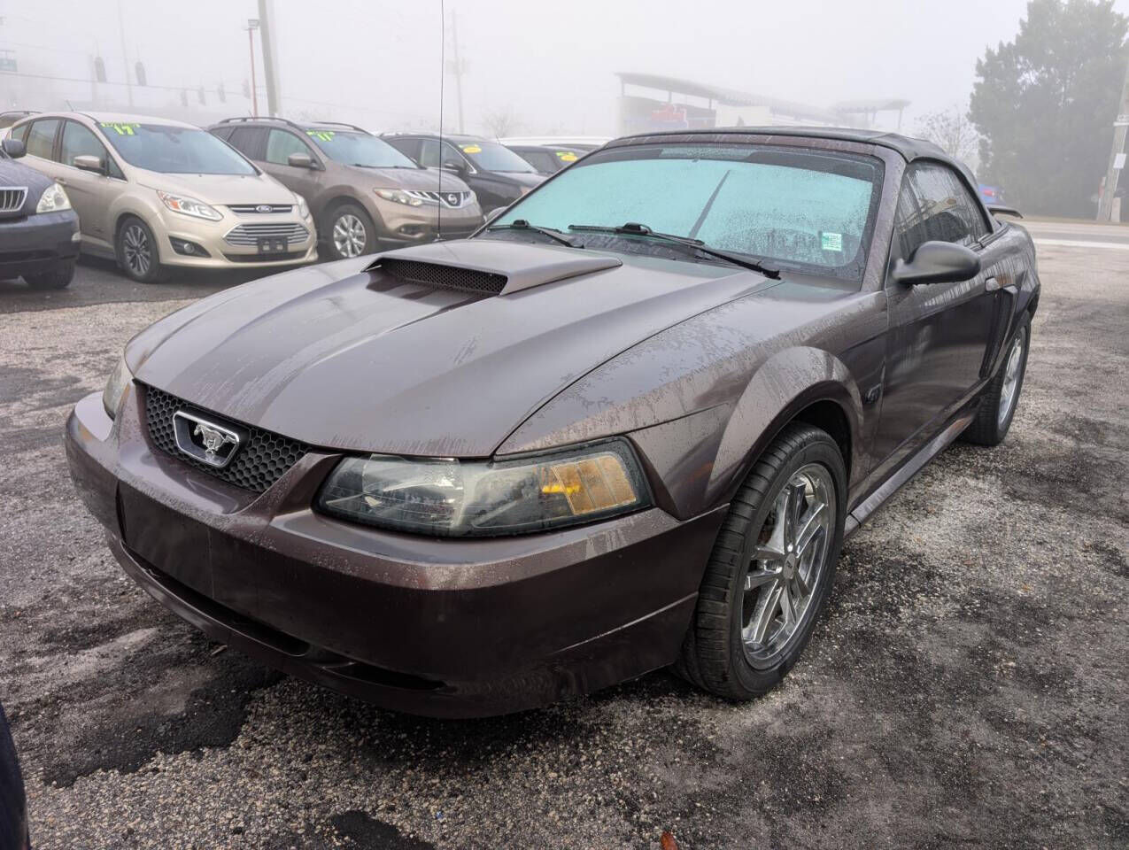 2002 FORD Mustang