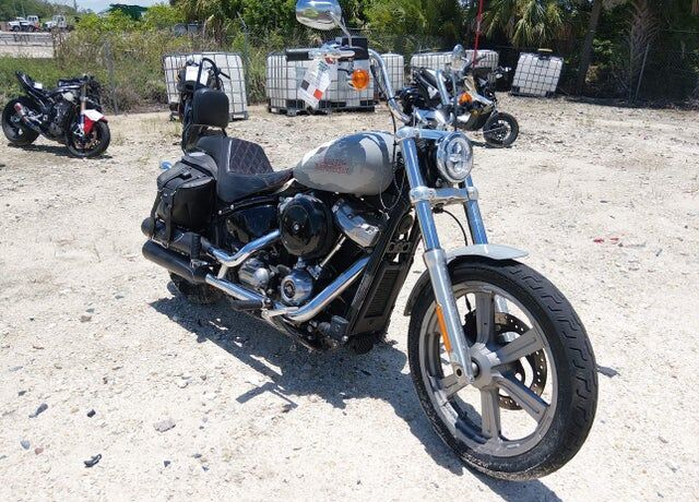 2024 HARLEY DAVIDSON Softail Standard
