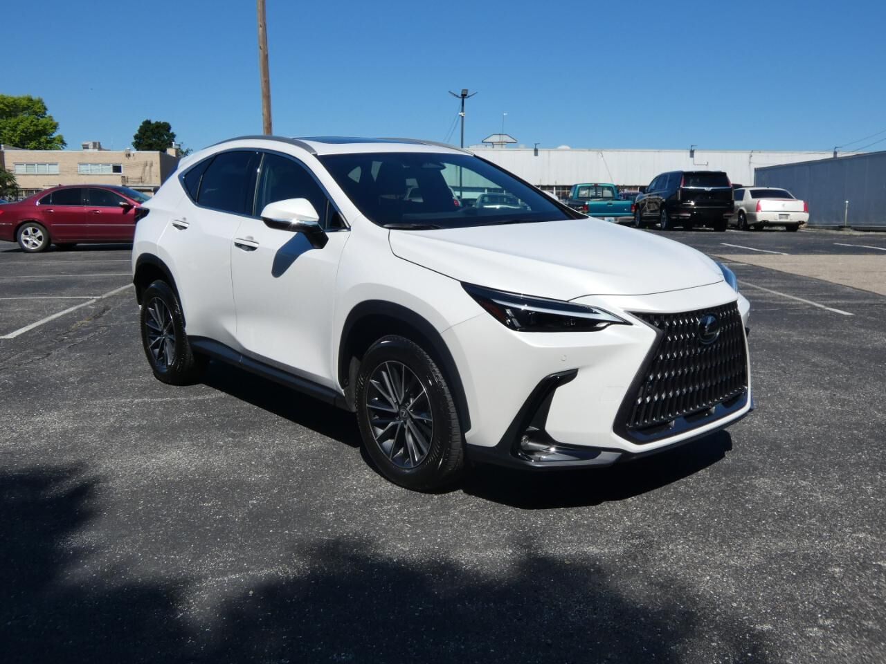 2024 LEXUS NX