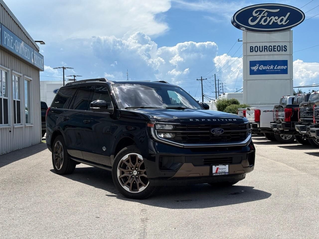 2025 FORD Expedition