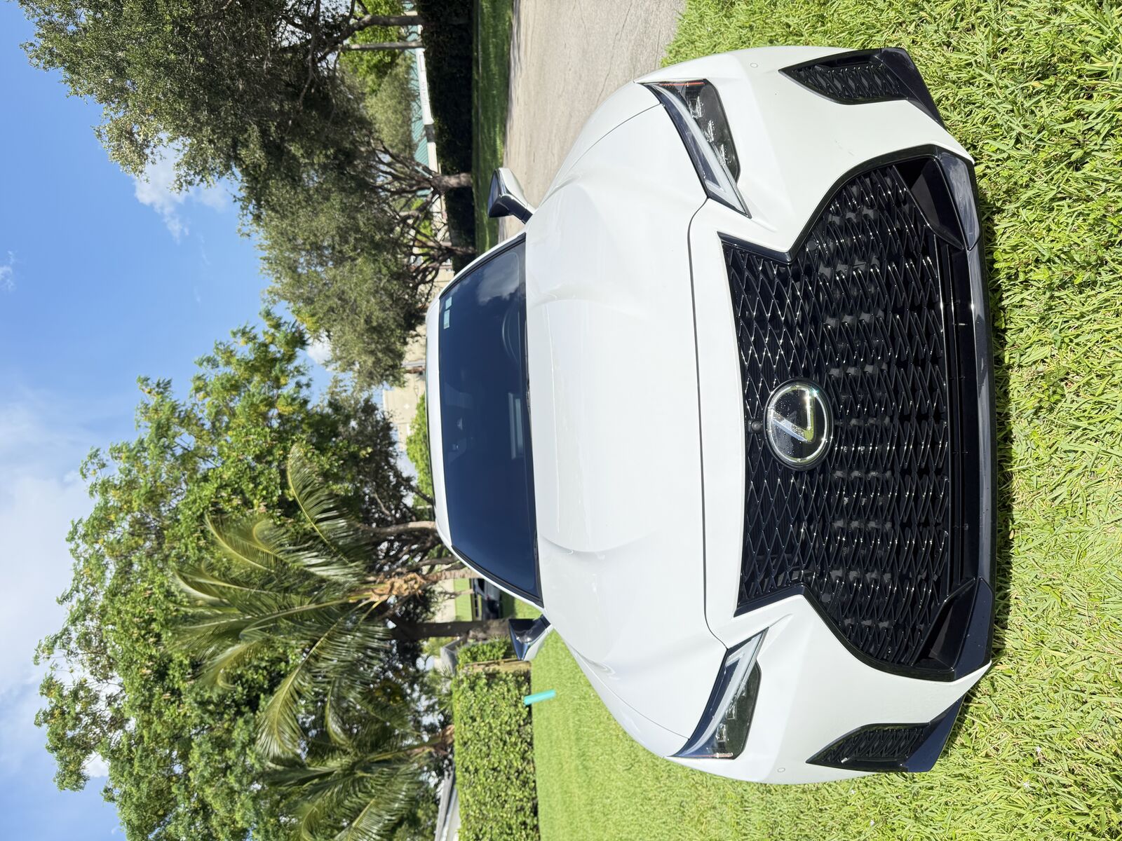 2023 LEXUS IS