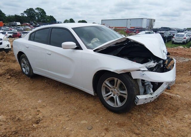 2019 DODGE Charger