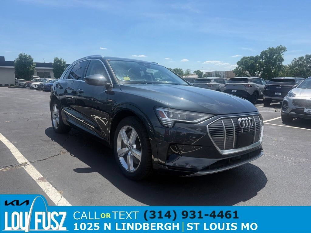 2019 AUDI e-tron