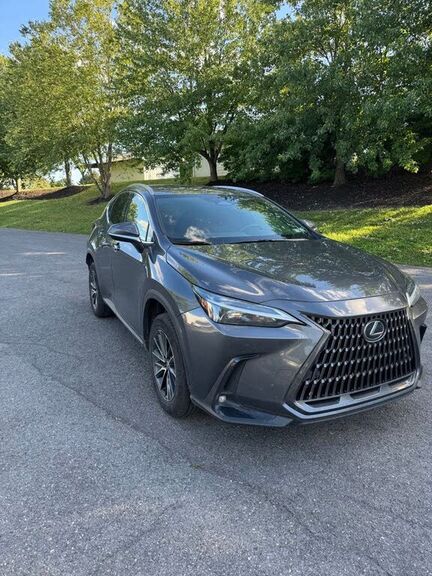 2024 LEXUS NX