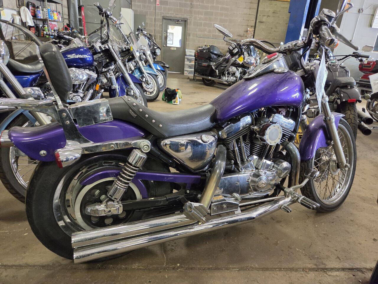 2002 HARLEY DAVIDSON Sportster 1200 Custom