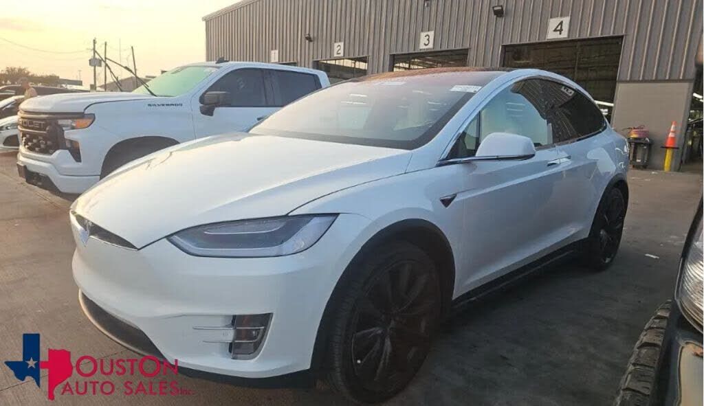 2019 TESLA Model X