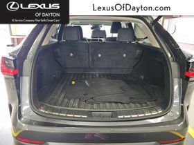 2025 LEXUS NX