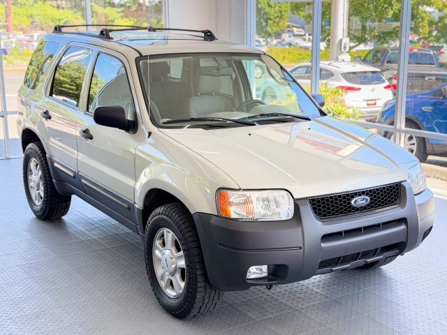 Ford Escape
