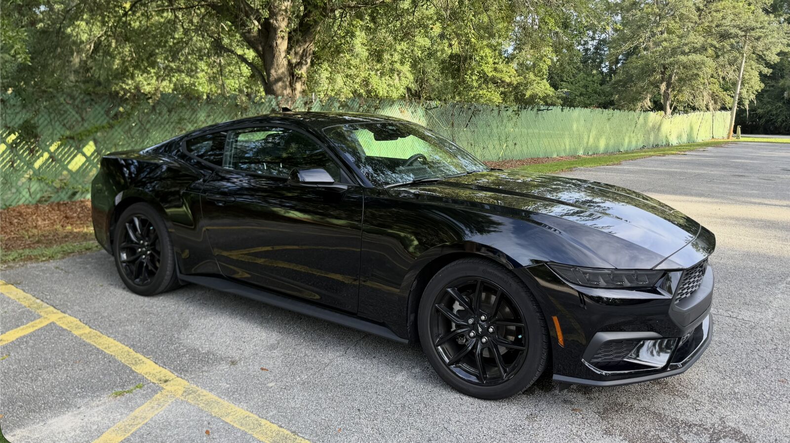 2025 FORD Mustang
