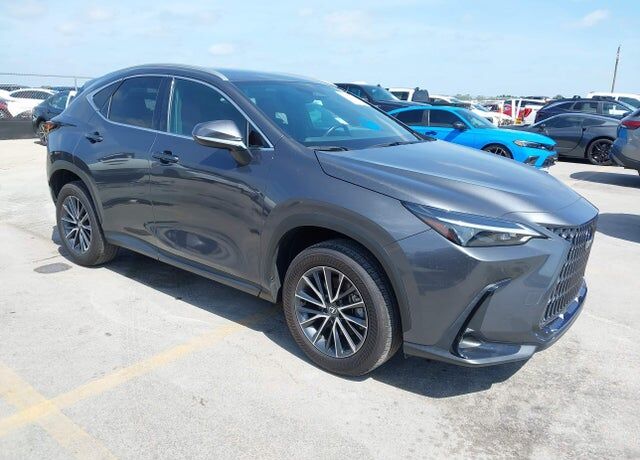 2025 LEXUS NX