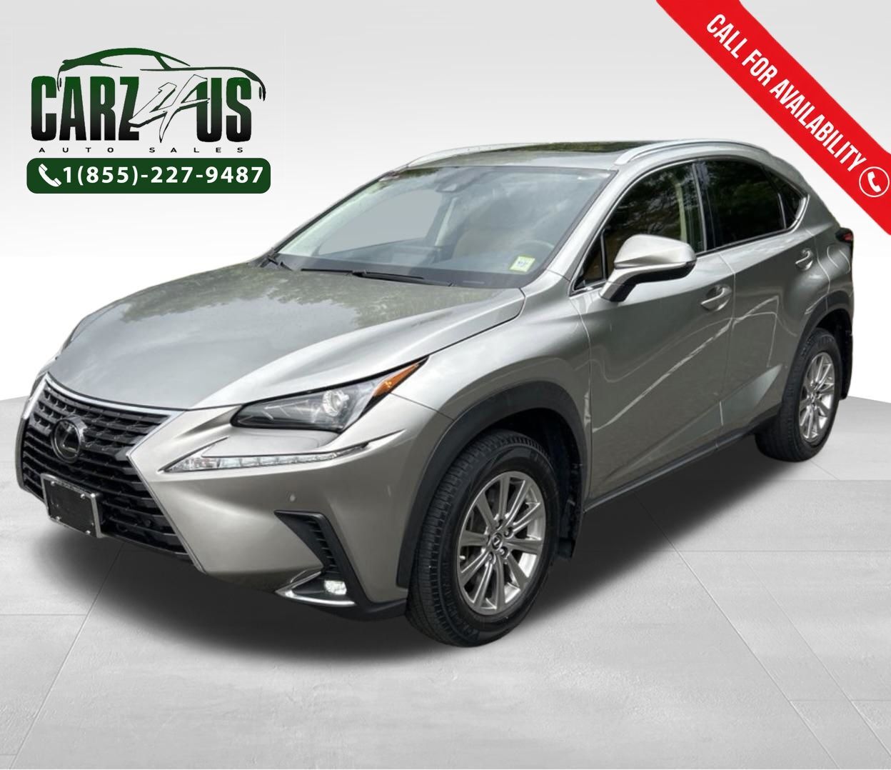 2020 LEXUS NX