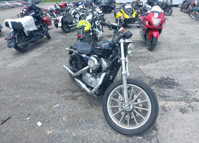 2006 HARLEY DAVIDSON Sportster XL883 Low