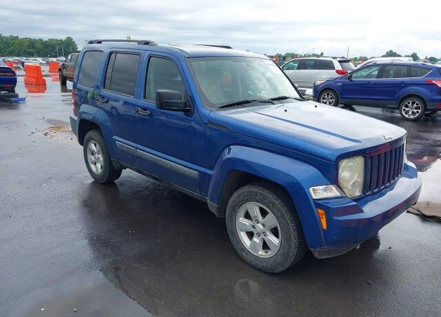2010 JEEP Liberty