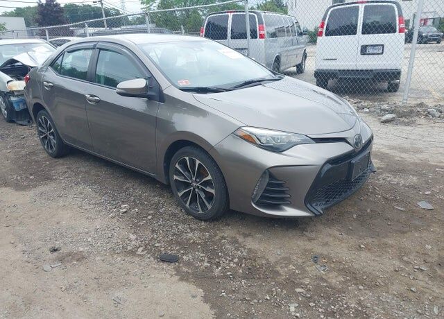 2019 TOYOTA Corolla