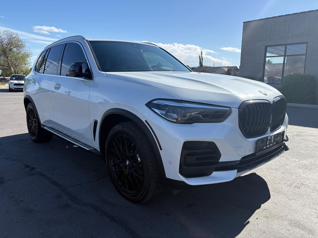2023 BMW X5