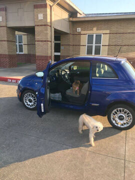 2012 FIAT 500