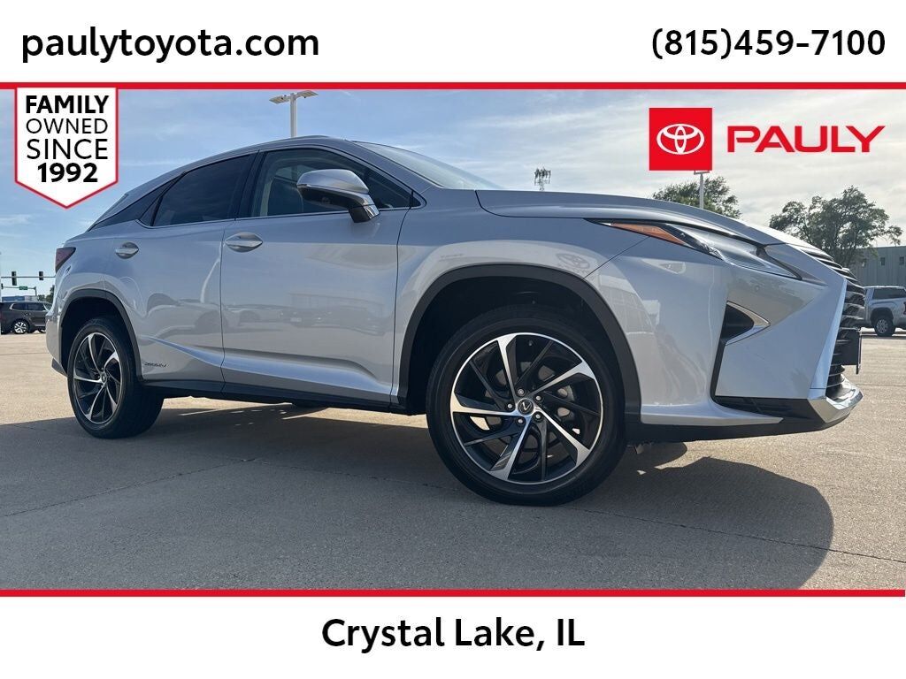 2019 LEXUS RX