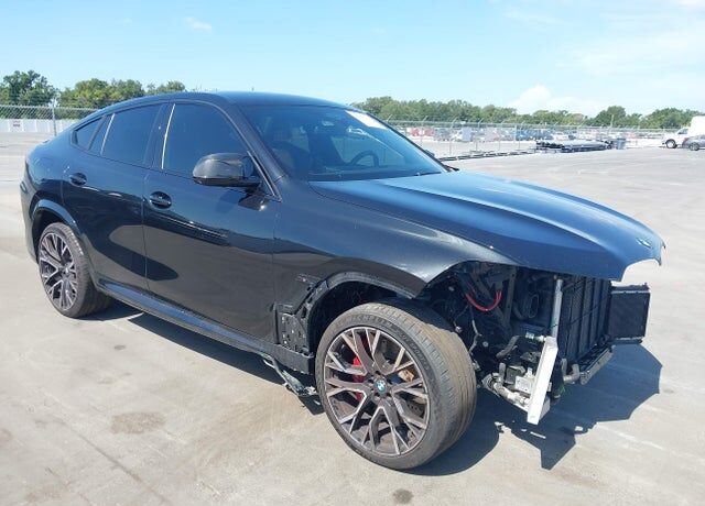2024 BMW X6