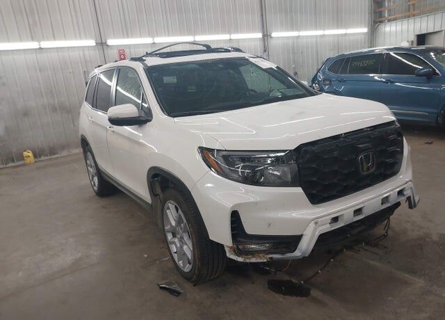 2025 HONDA Passport
