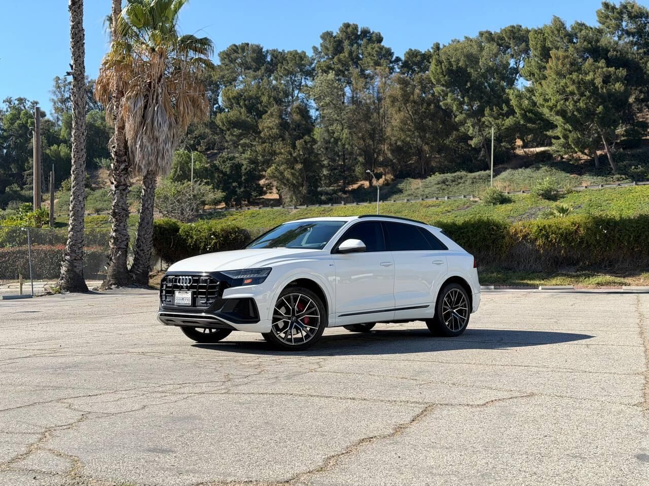 2019 Audi Q8