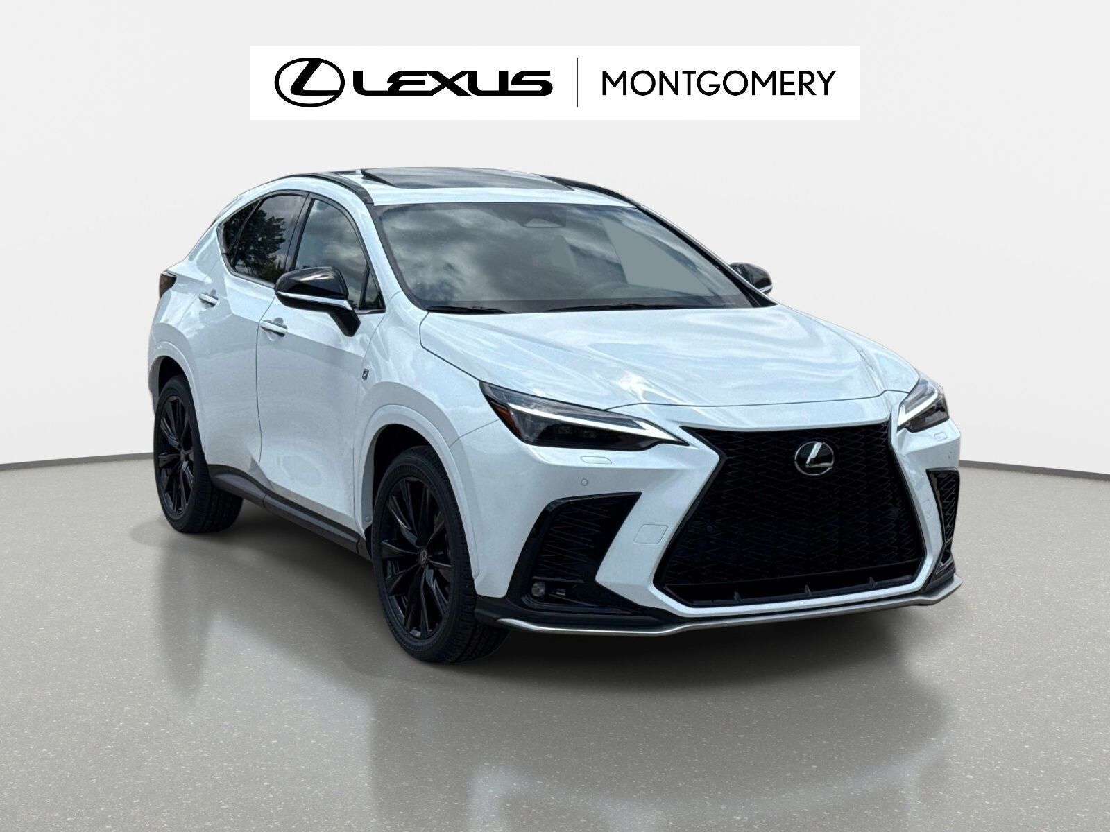2026 LEXUS NX