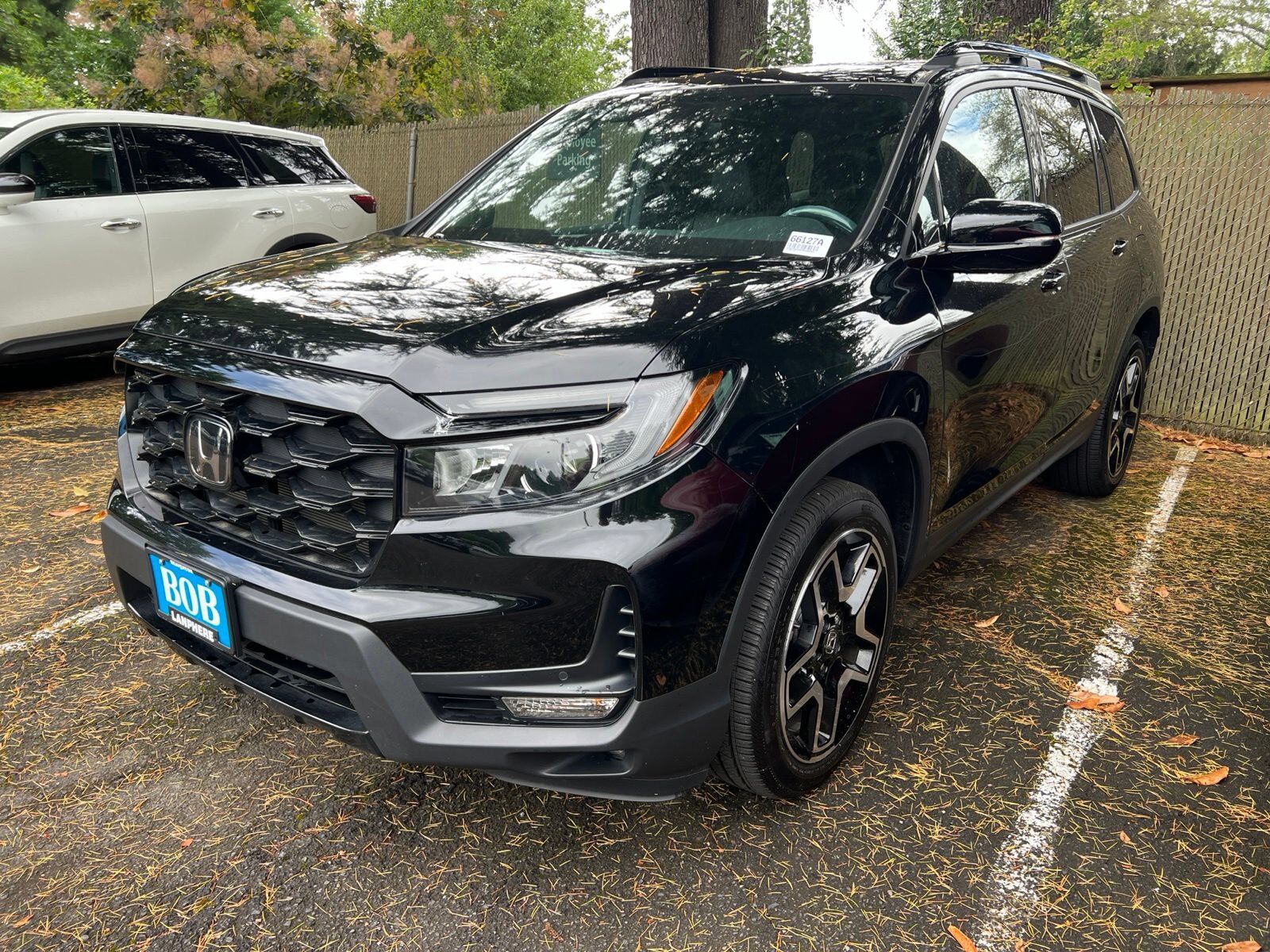 2023 HONDA Passport