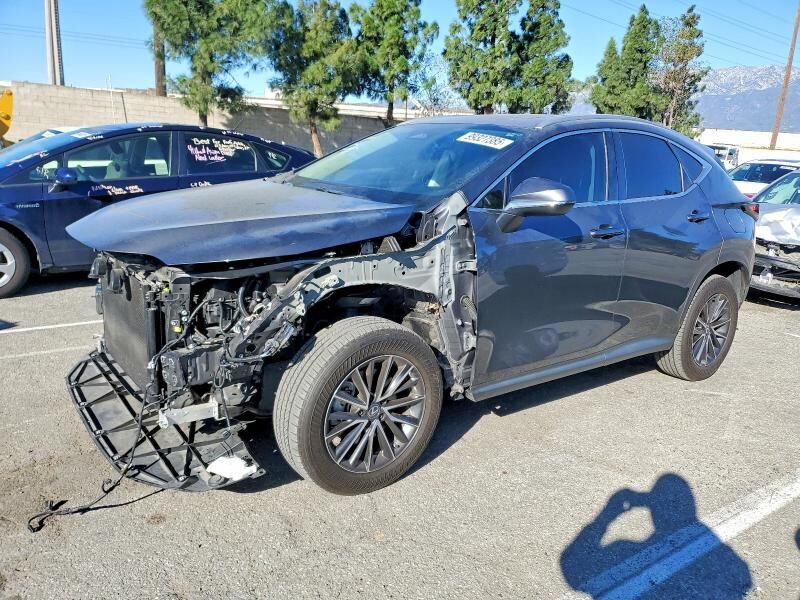2024 LEXUS NX