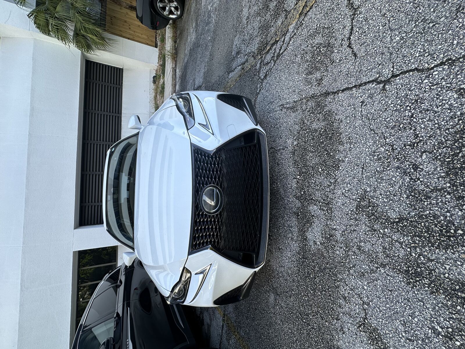 2019 LEXUS IS