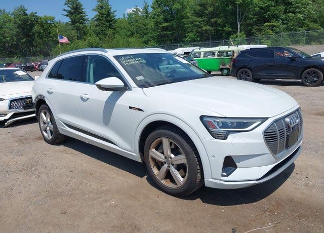 2019 AUDI e-tron