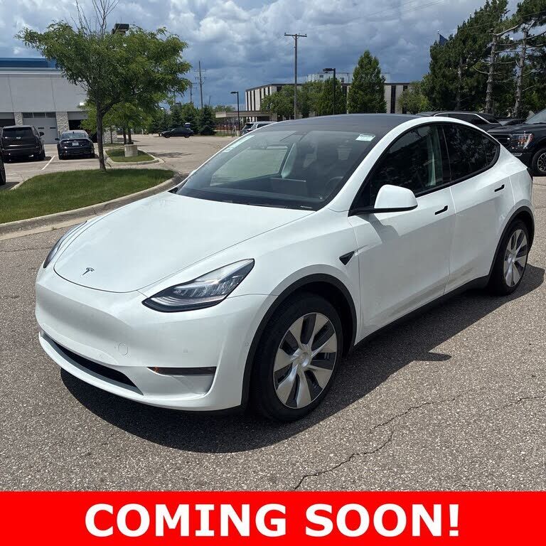 2020 TESLA Model Y