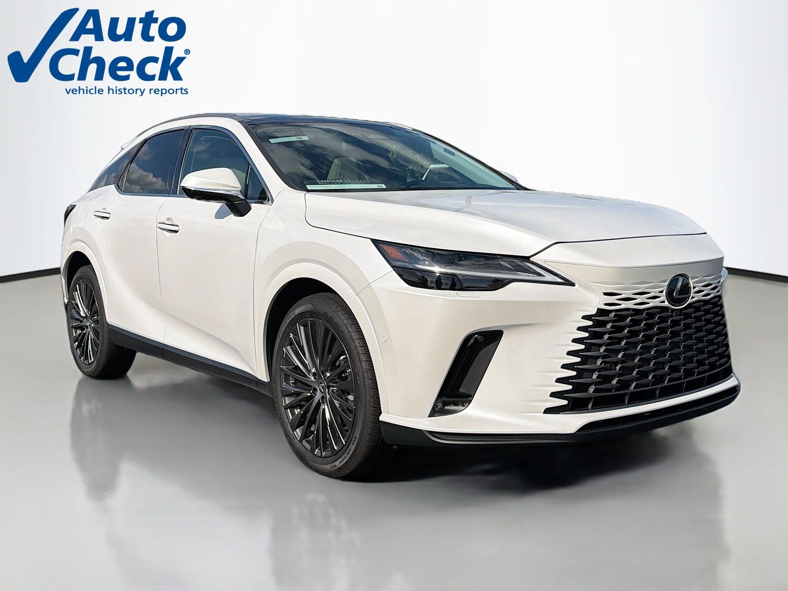2023 LEXUS RX