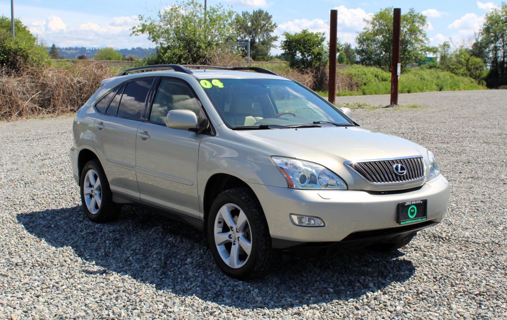 2004 LEXUS RX