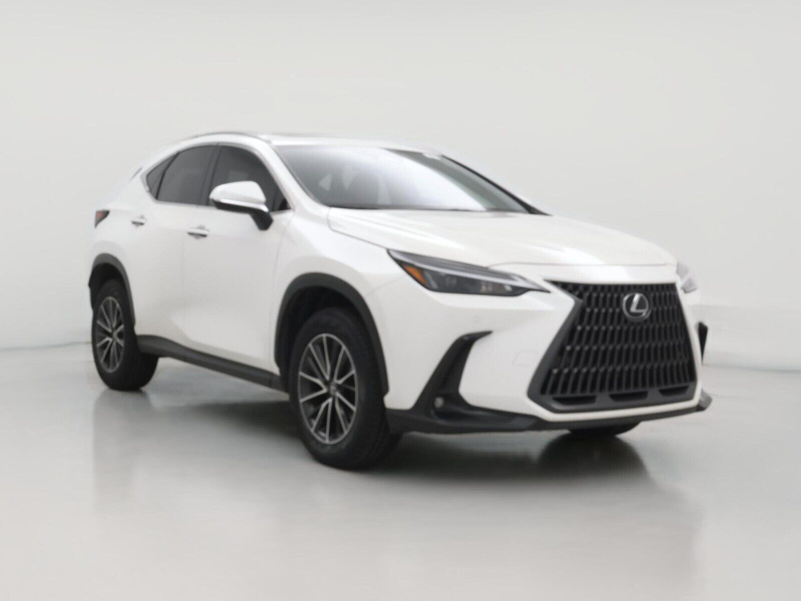 2024 LEXUS NX